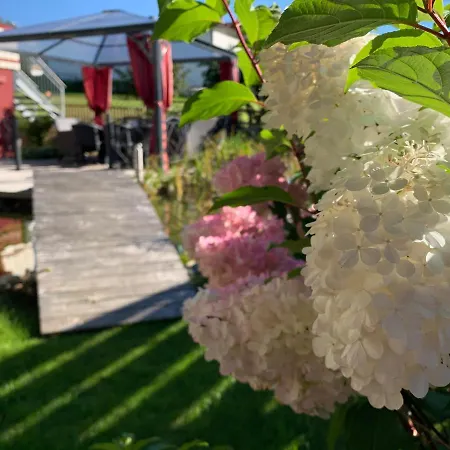 Appartement Holiday Apartment *