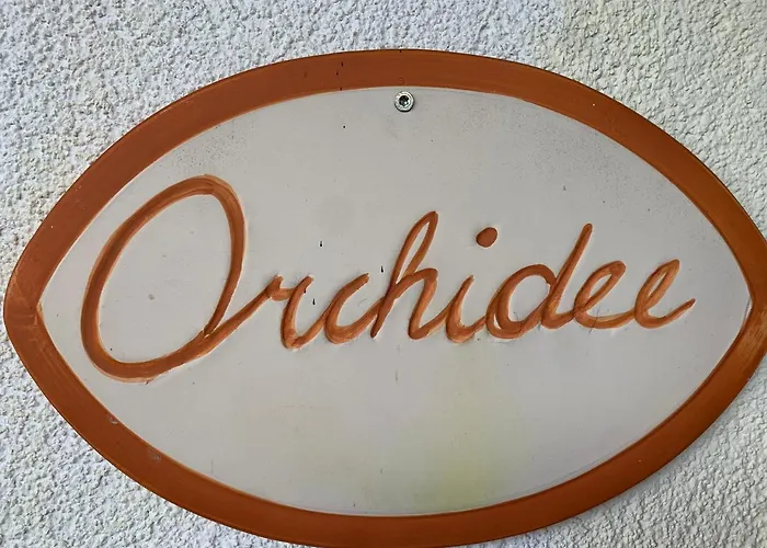 Lejlighed Appartement Holiday Maishofen